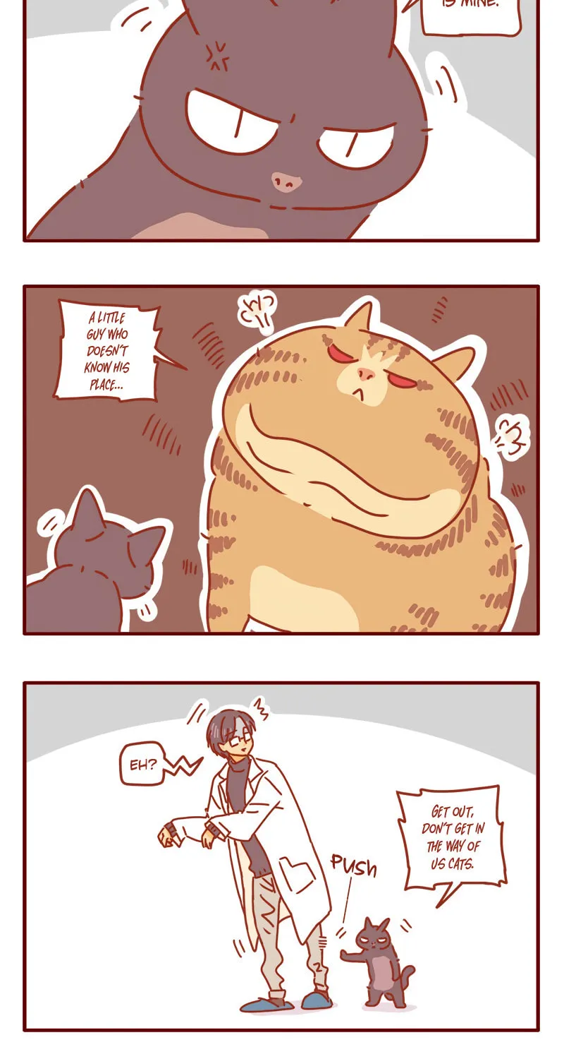 Read I Am a Small Kitten (Colored) chapter 9 image 12 on Lezhin