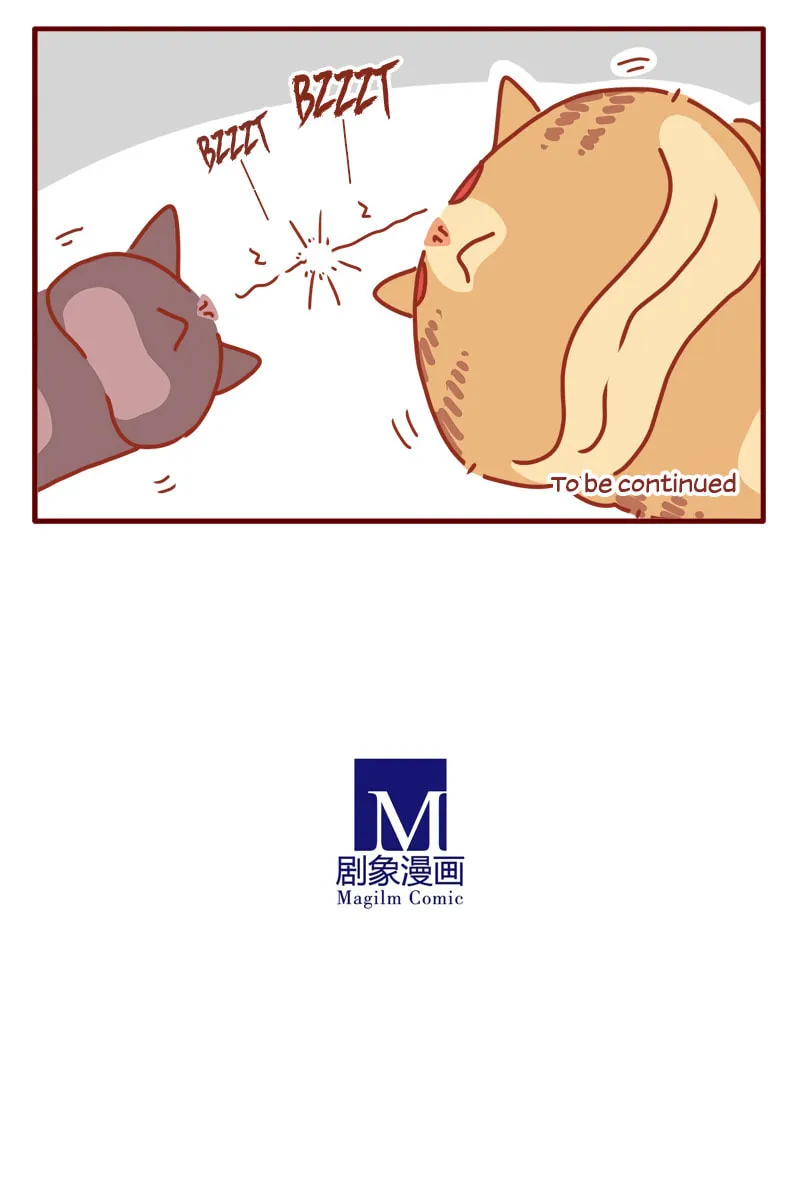 Read I Am a Small Kitten (Colored) chapter 9 image 13 on Lezhin