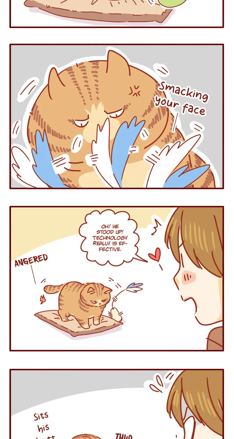 Read I Am a Small Kitten (Colored) chapter 9 image 3 on Lezhin