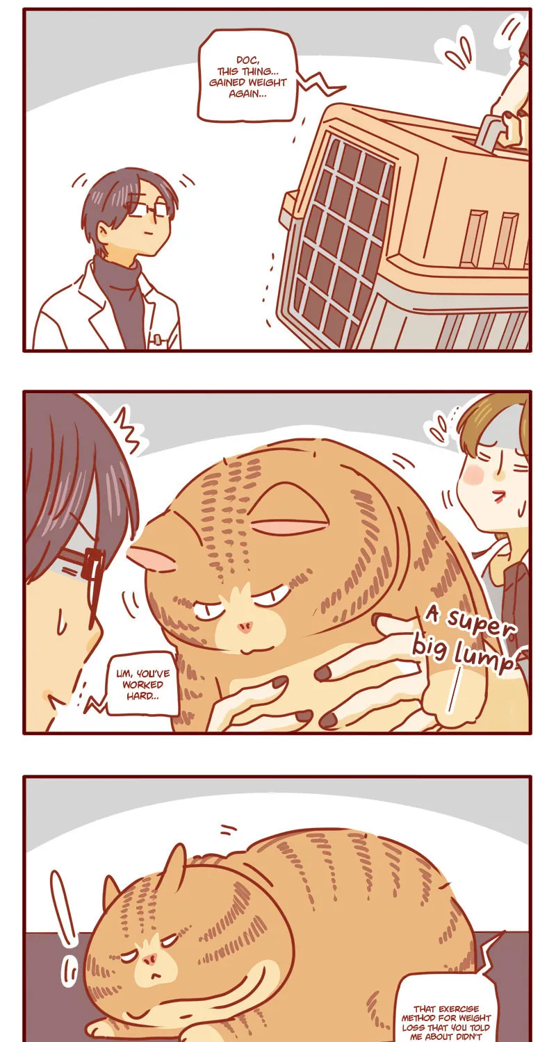 Read I Am a Small Kitten (Colored) chapter 9 image 7 on Lezhin
