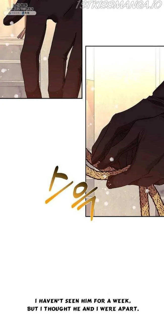 I Am The Male Lead's Child Chapter 46 page 15 - 