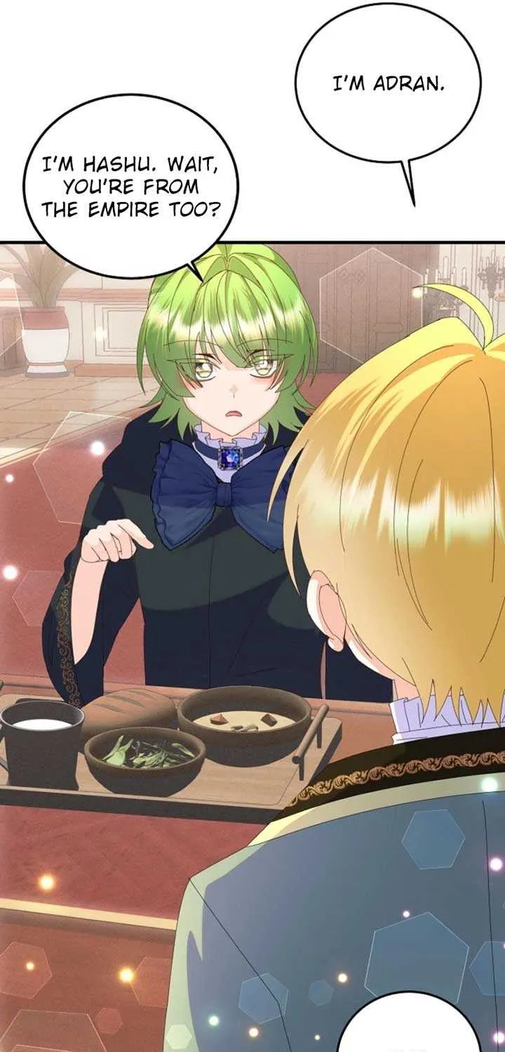 I Am The Male Lead's Child Chapter 60 page 67 - 