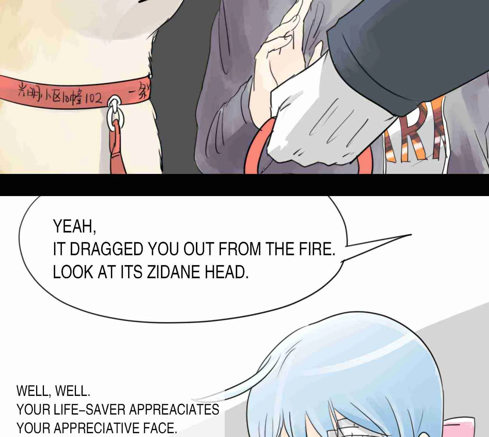 Read I Became A Doge?! chapter 4 image 6 on Lezhin