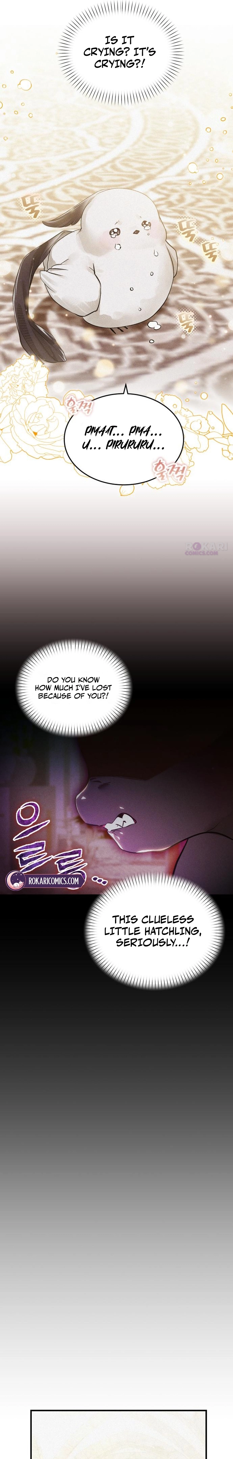 Read I Became a Hatchling chapter 5 image 5 on Lezhin