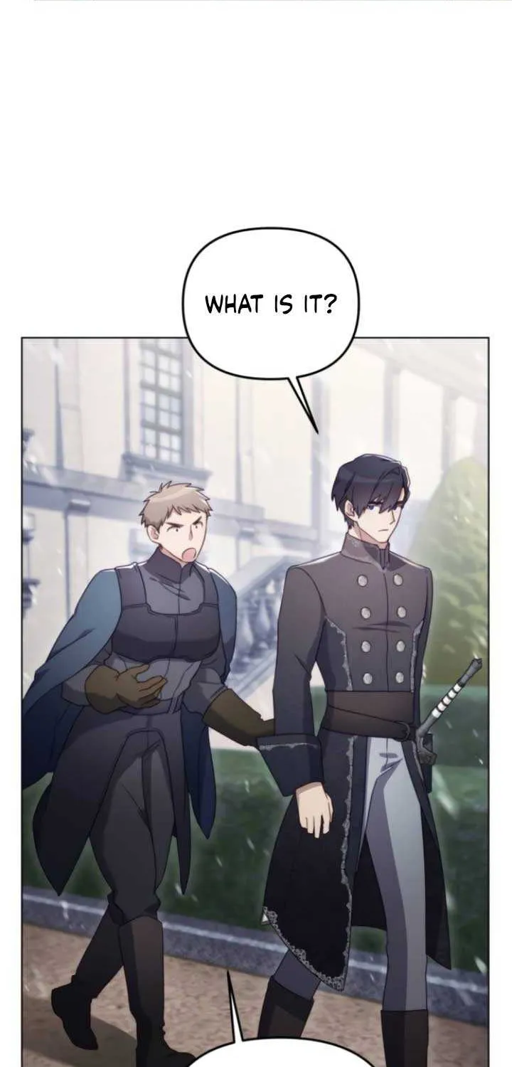 I Became A Level 999 Mastermind Demon King Chapter 35 page 27 - 