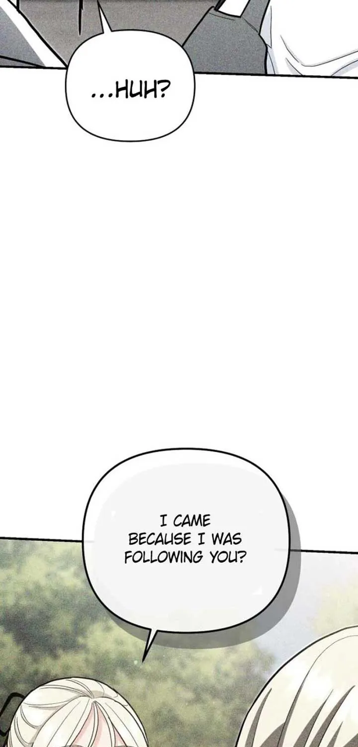 I Became a Swordsmanship Instructor at the Academy Chapter 26 page 41 - 