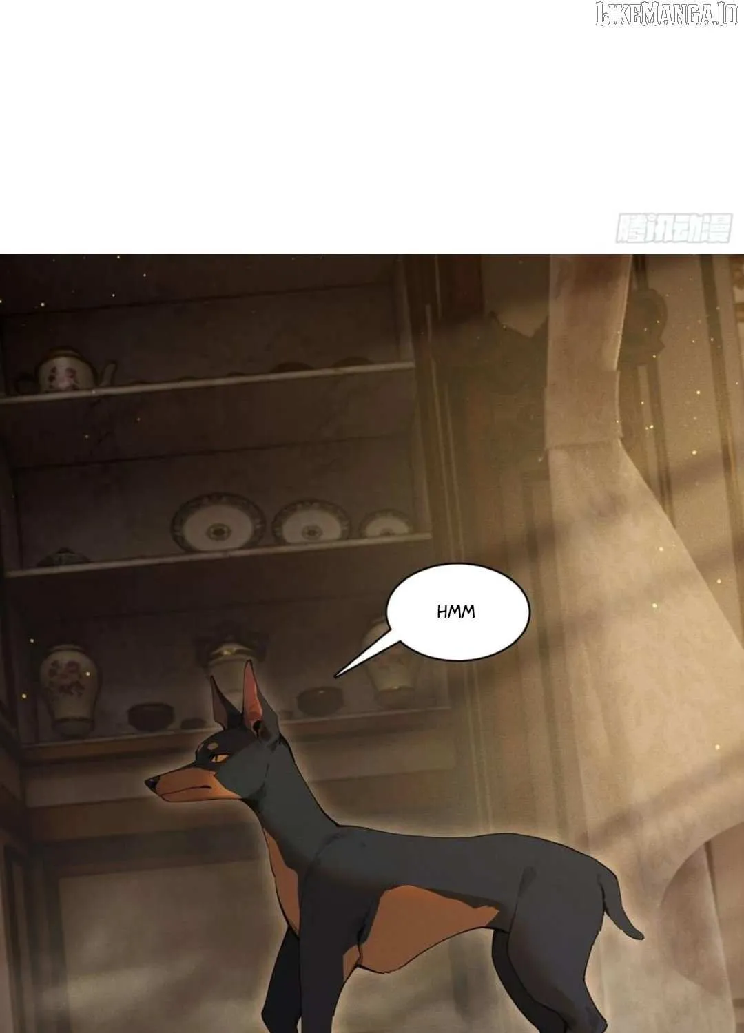 I became a white impermanence Chapter 29 page 16 - 