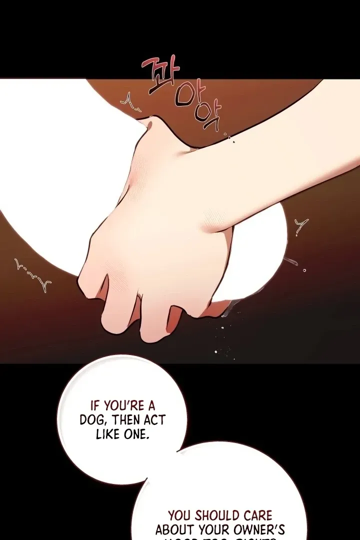 I Became the First Love of My Stepson Chapter 32 page 29 - 
