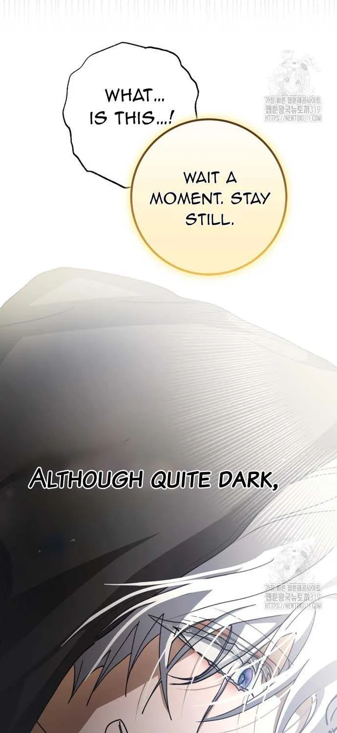 I Became the Master of the Devil Chapter 19 page 33 - 