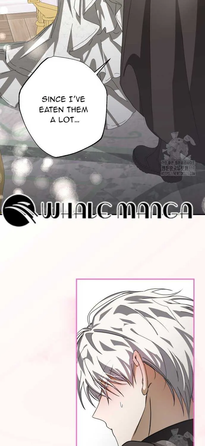 I Became the Master of the Devil Chapter 19 page 42 - 