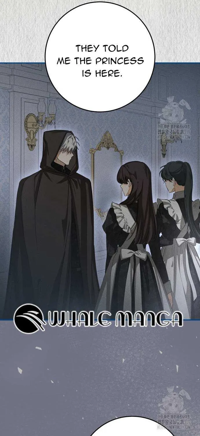 I Became the Master of the Devil Chapter 19 page 47 - 