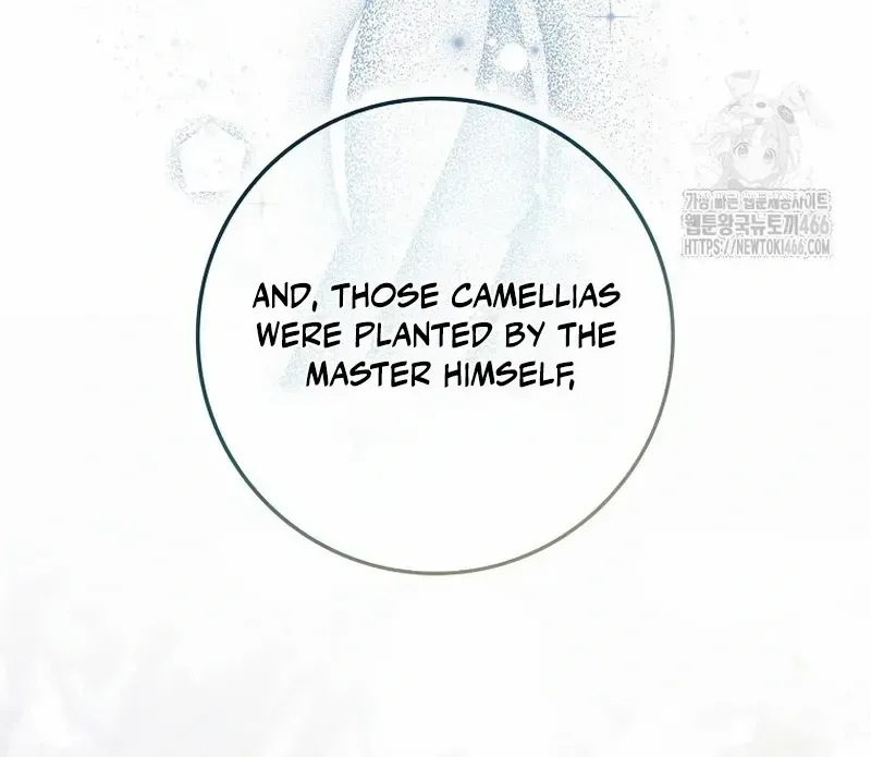 I Became The Young Wife of The Male Protagonist of a Martial Arts Novel Chapter 14 page 8 - 
