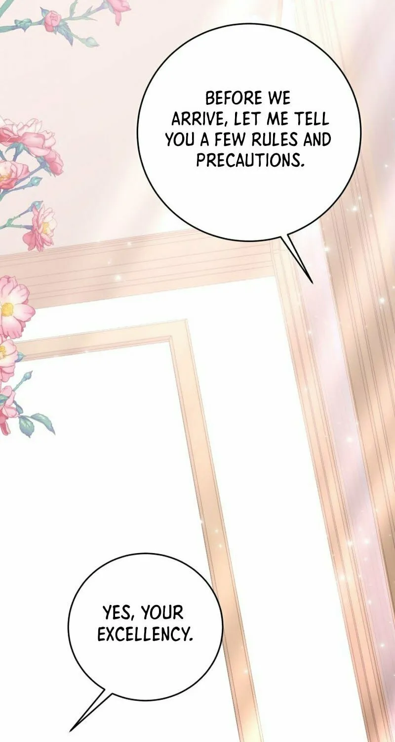 I Became the Youngest Daughter of the Mafia Family Chapter 3 page 78 - 
