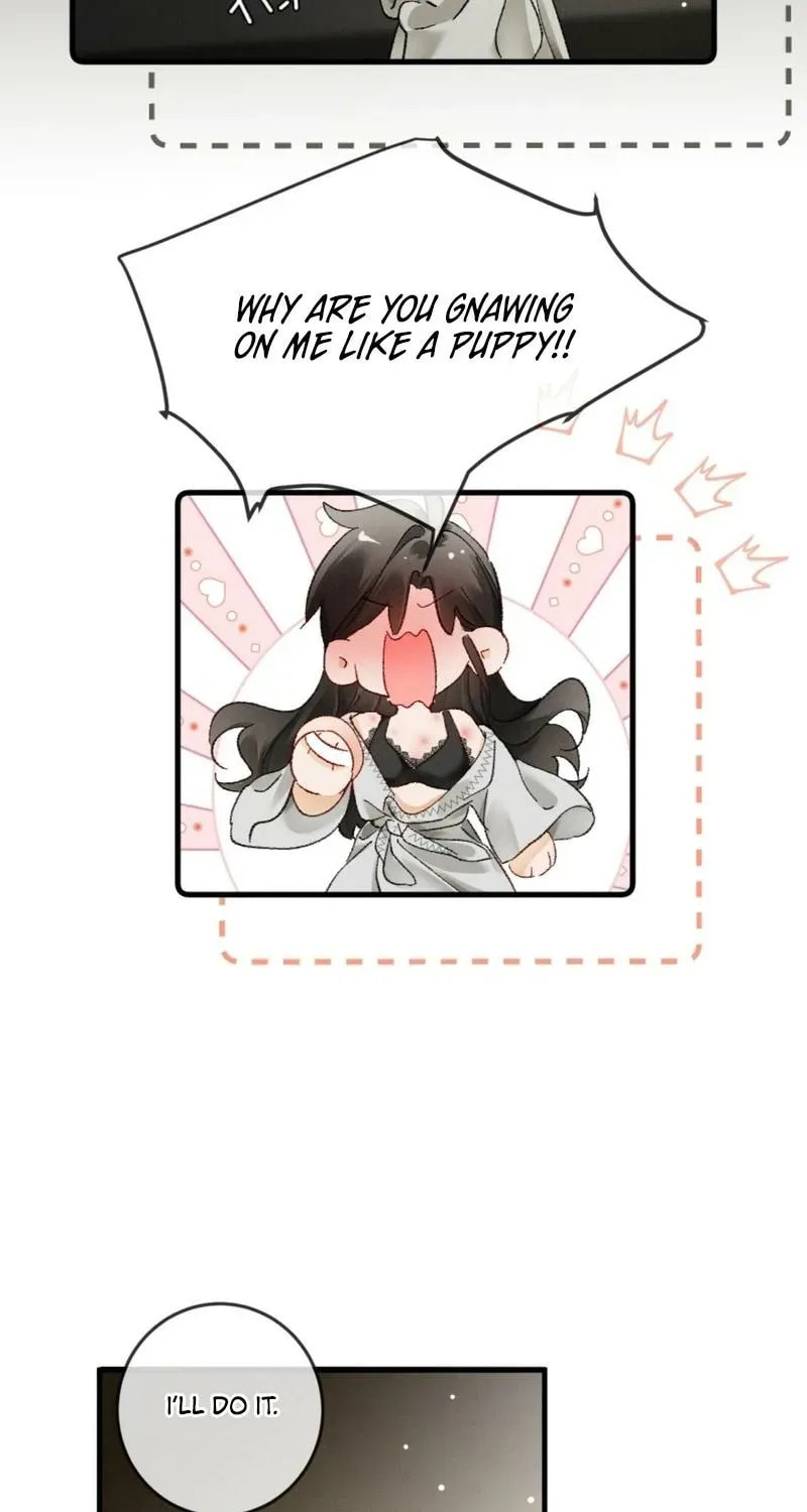 I Can't Escape From My Contract Husband's Doting Love Chapter 25 page 13 - 