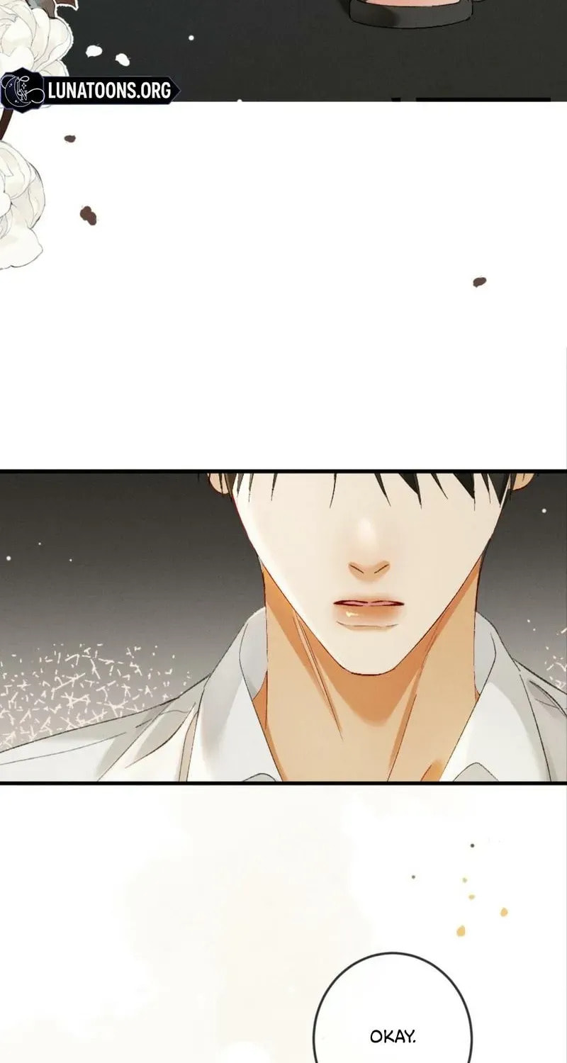 I Can't Escape From My Contract Husband's Doting Love Chapter 25 page 19 - 