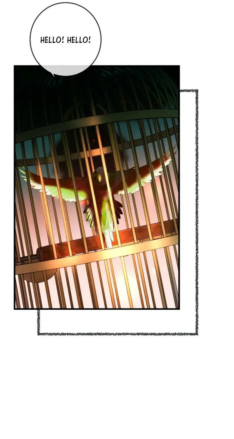 I Can't Escape From My Contract Husband's Doting Love Chapter 36 page 13 - 
