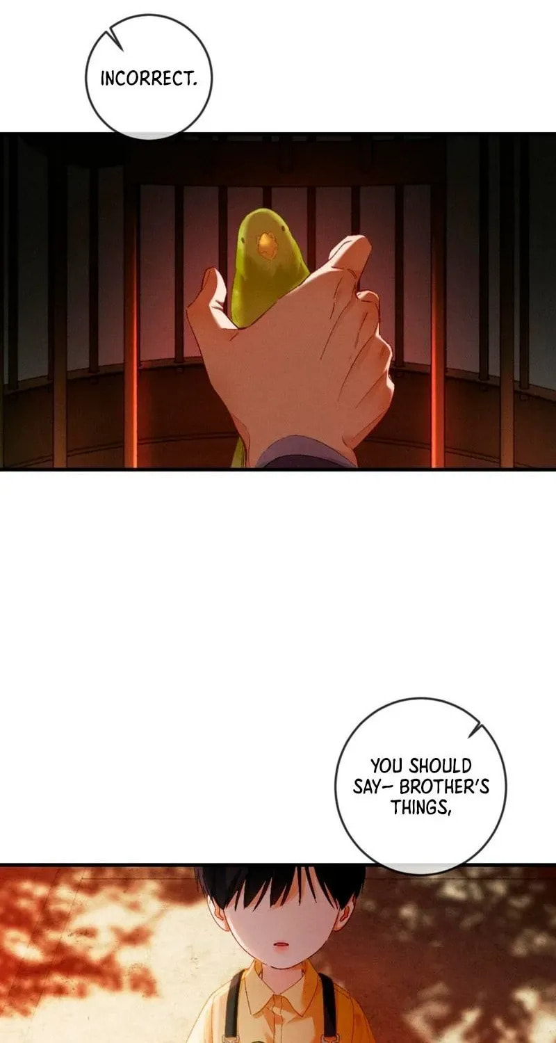 I Can't Escape From My Contract Husband's Doting Love Chapter 36 page 14 - 