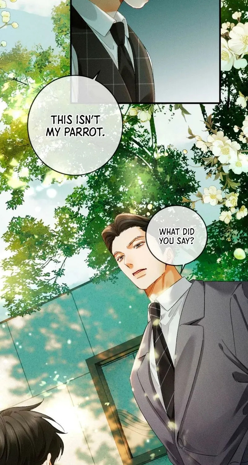 I Can't Escape From My Contract Husband's Doting Love Chapter 36 page 28 - 