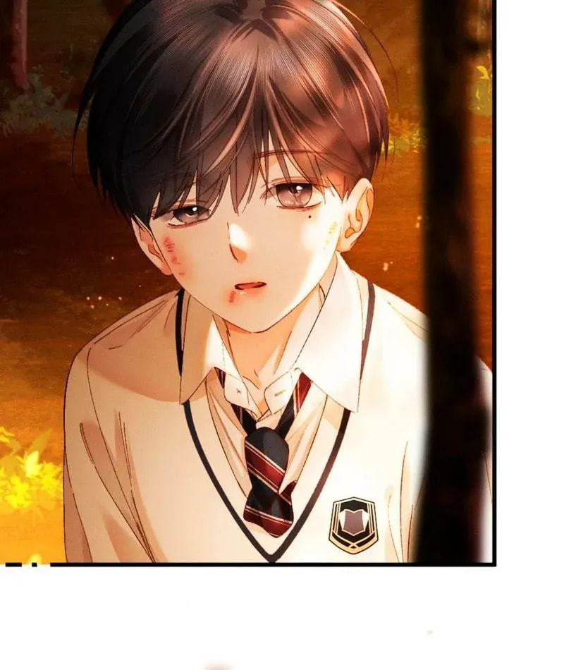 I Can't Escape From My Contract Husband's Doting Love Chapter 36 page 50 - 