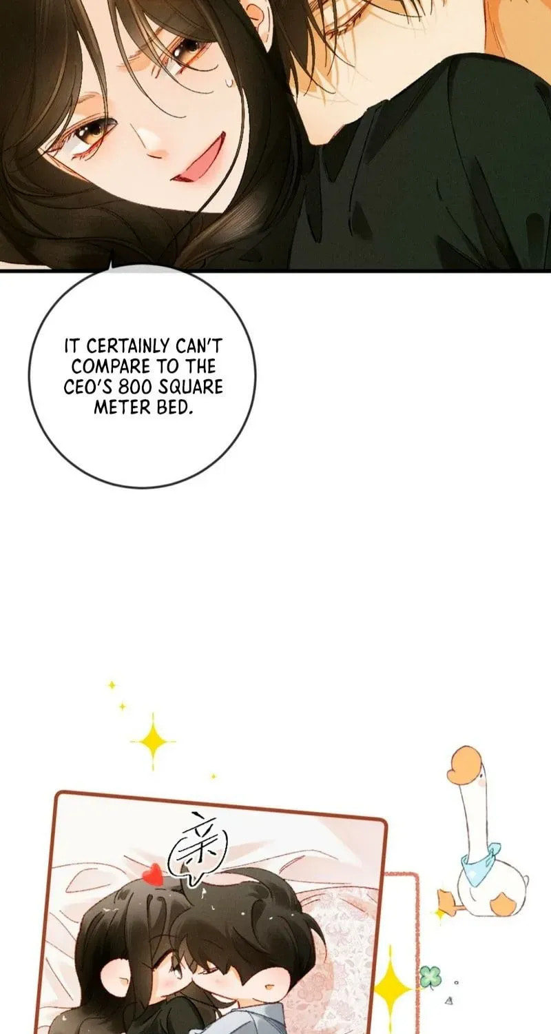 I Can't Escape From My Contract Husband's Doting Love Chapter 38 page 39 - 