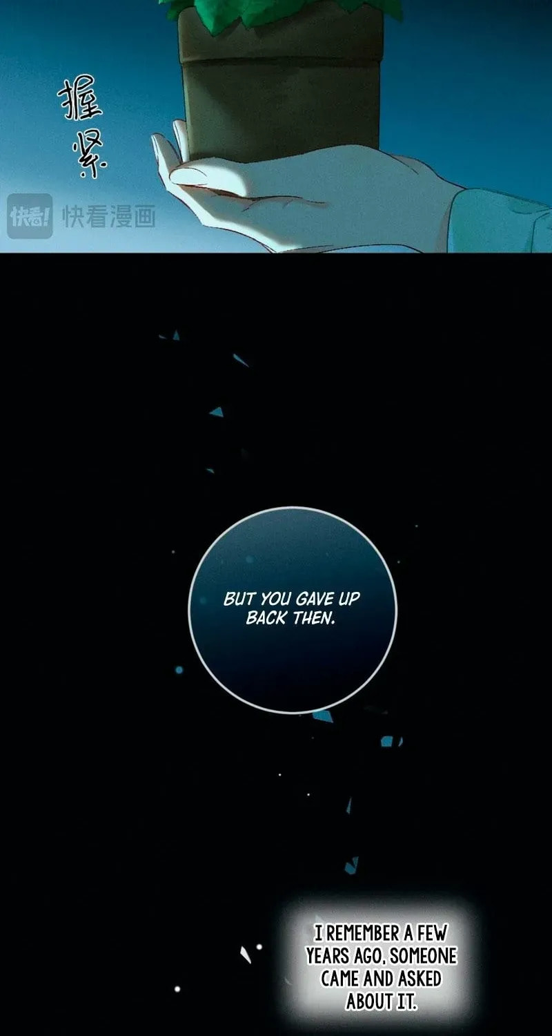 I Can't Escape From My Contract Husband's Doting Love Chapter 40 page 12 - 