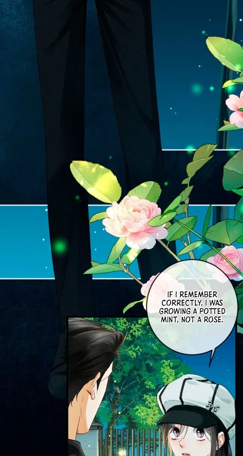 I Can't Escape From My Contract Husband's Doting Love Chapter 40 page 6 - 