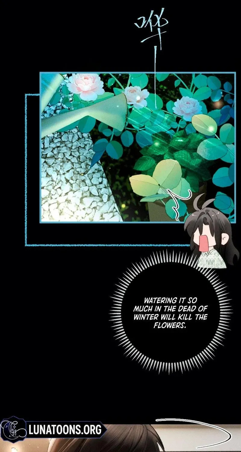 I Can't Escape From My Contract Husband's Doting Love Chapter 41 page 14 - 