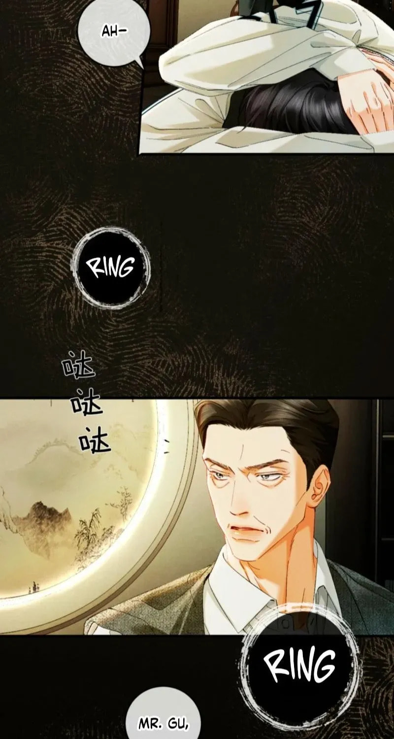 I Can't Escape From My Contract Husband's Doting Love Chapter 51 page 14 - 