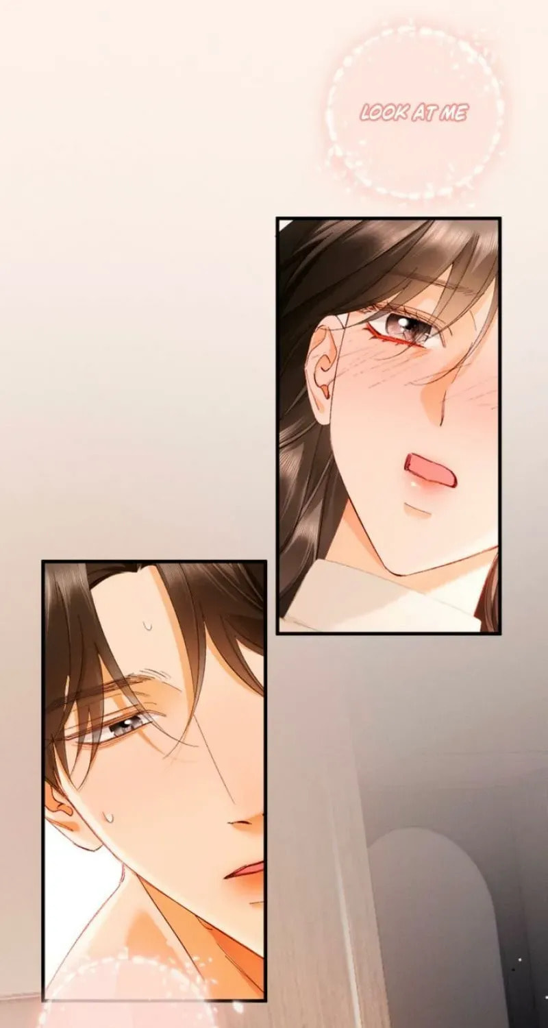 I Can't Escape From My Contract Husband's Doting Love Chapter 60 page 52 - 