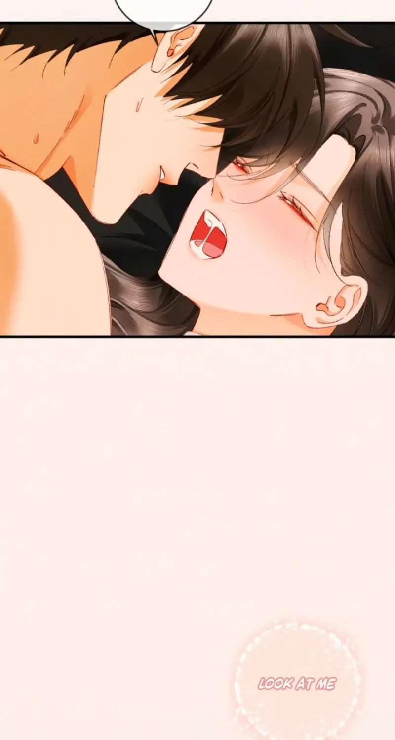 I Can't Escape From My Contract Husband's Doting Love Chapter 61 page 14 - 