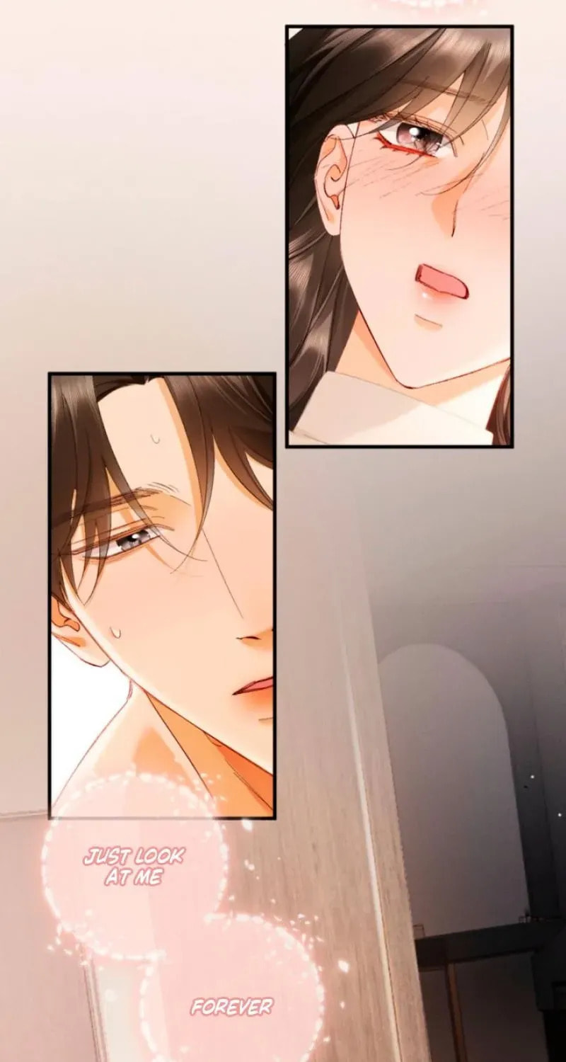 I Can't Escape From My Contract Husband's Doting Love Chapter 61 page 15 - 