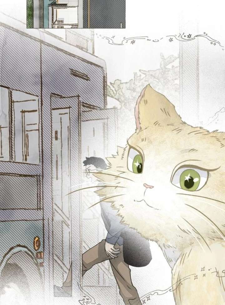 Read I catch you chapter 2 image 13 on Lezhin