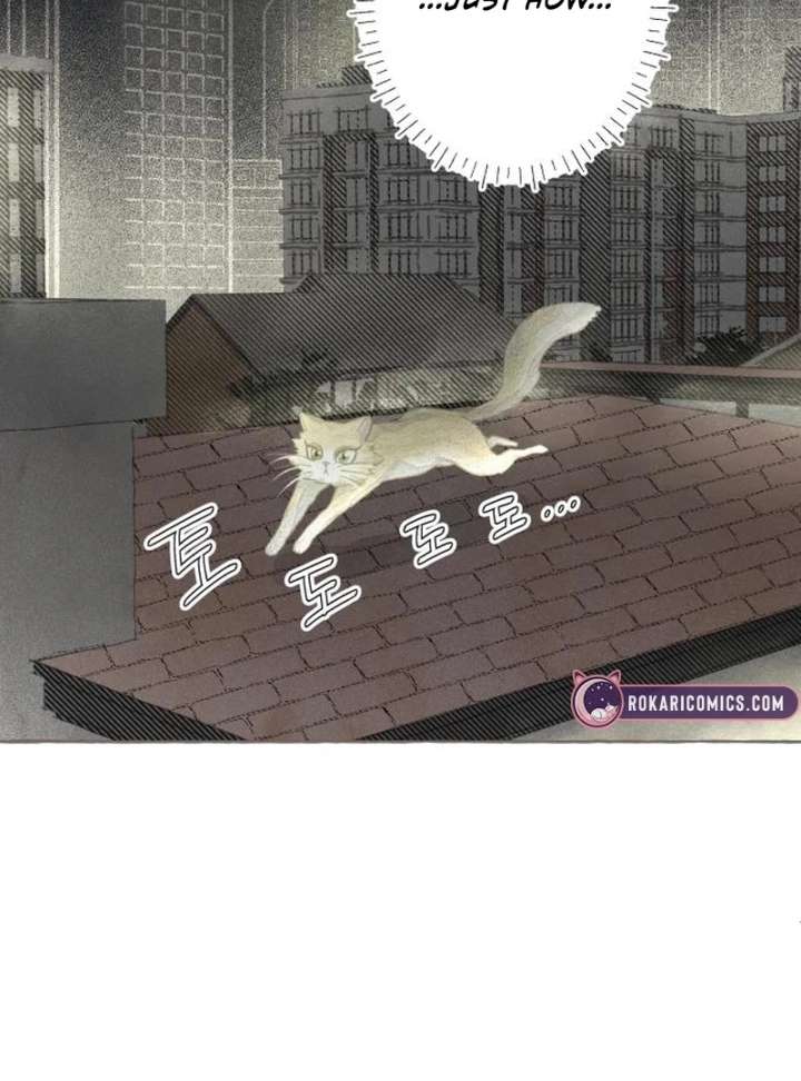 Read I catch you chapter 2 image 42 on Lezhin