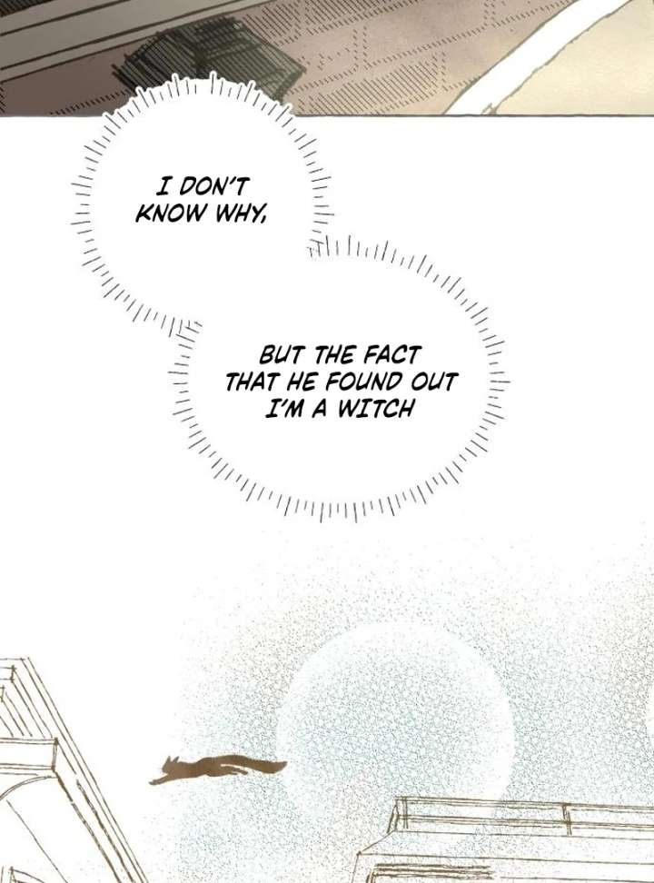 Read I catch you chapter 2 image 55 on Lezhin