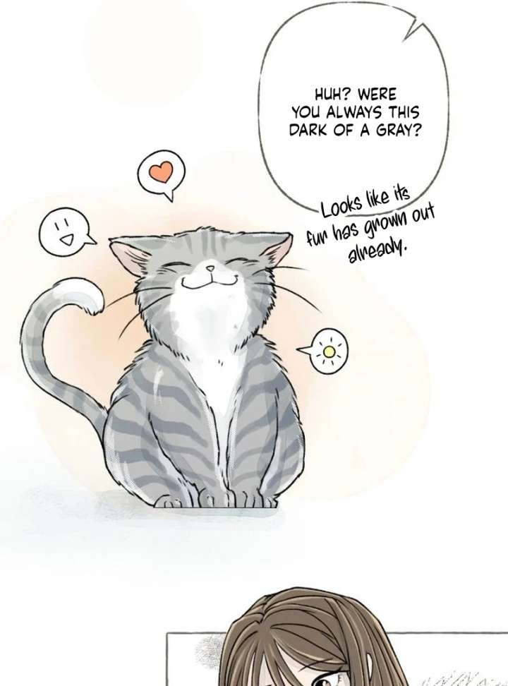 Read I catch you chapter 3 image 17 on Lezhin