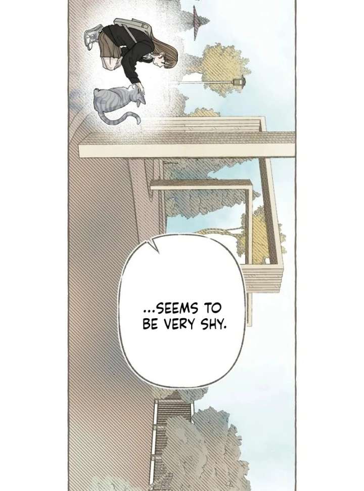 Read I catch you chapter 3 image 19 on Lezhin