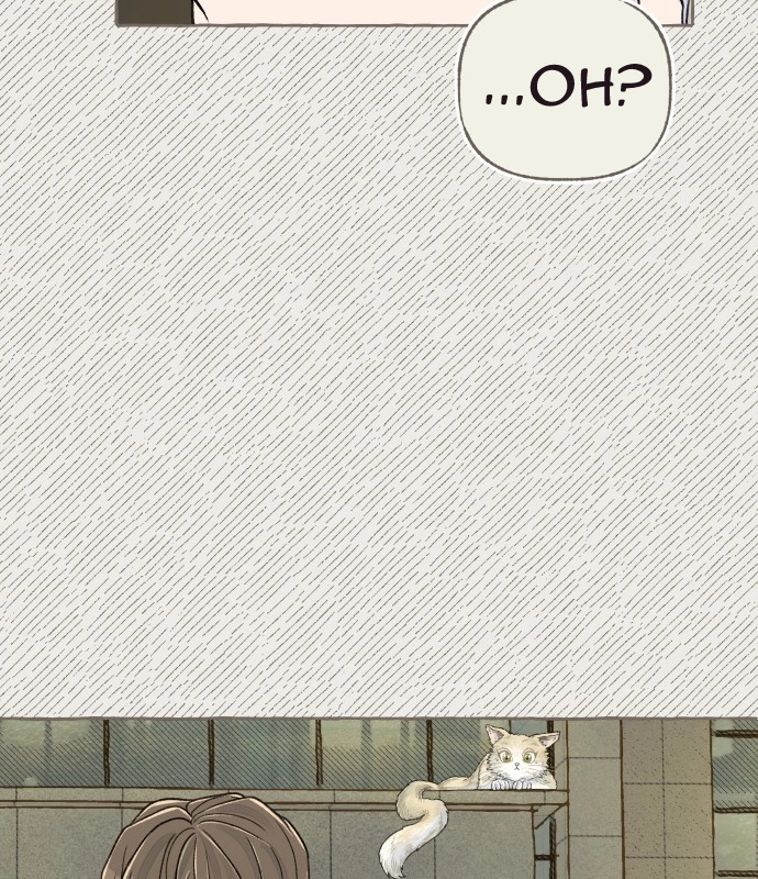 Read I catch you chapter 6 image 6 on Lezhin