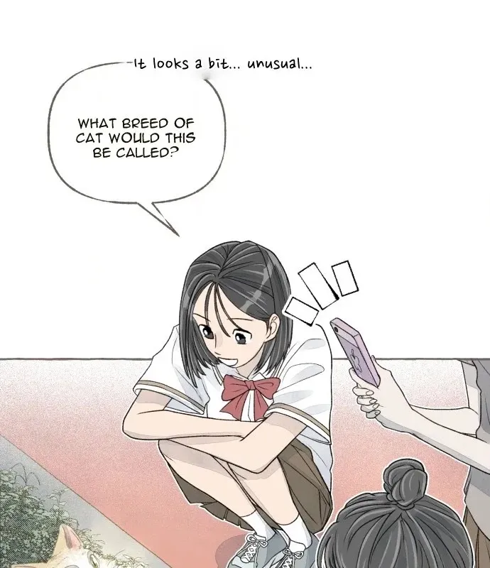 Read I catch you chapter 8 image 169 on Lezhin