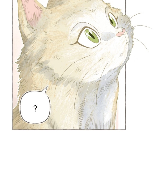 Read I catch you chapter 9 image 13 on Lezhin