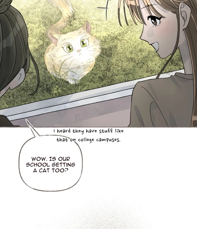 Read I catch you chapter 9 image 15 on Lezhin