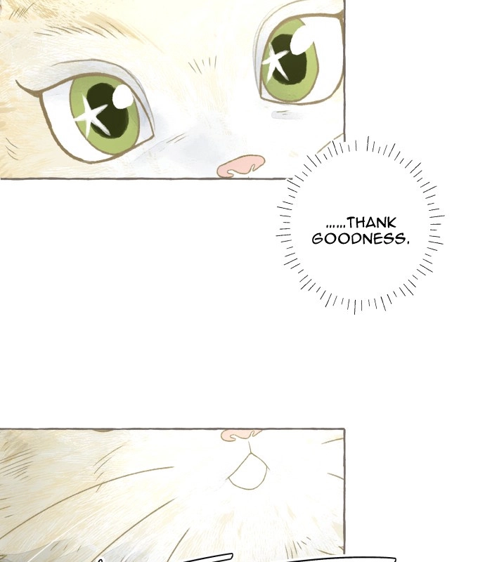 Read I catch you chapter 9 image 24 on Lezhin