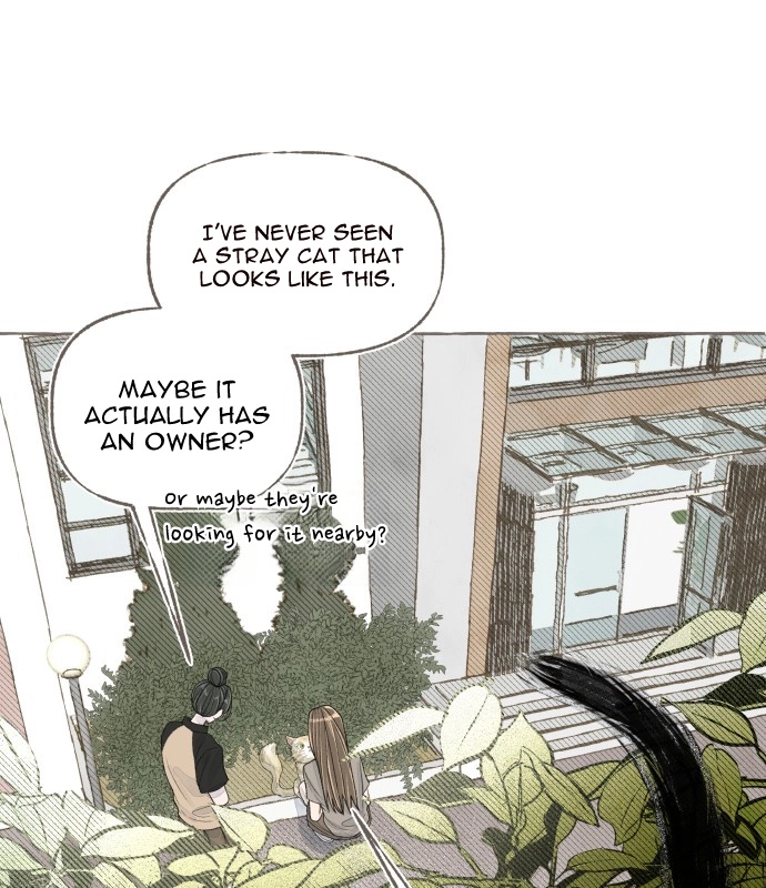 Read I catch you chapter 9 image 6 on Lezhin