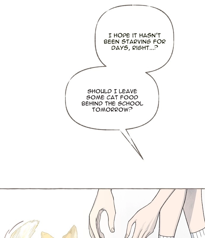 Read I catch you chapter 9 image 8 on Lezhin