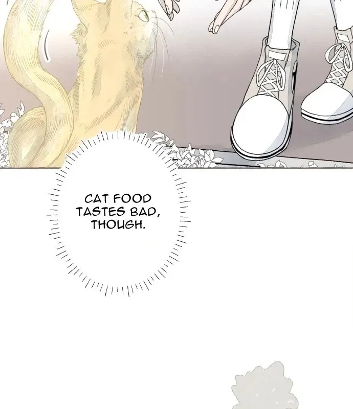 Read I catch you chapter 9 image 9 on Lezhin