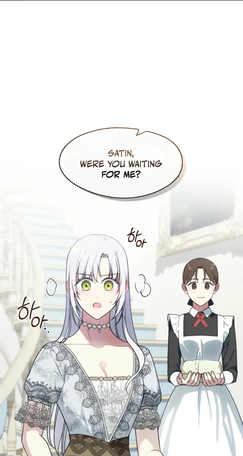 I Changed My Husband at the Wedding Chapter 14 page 21 - 