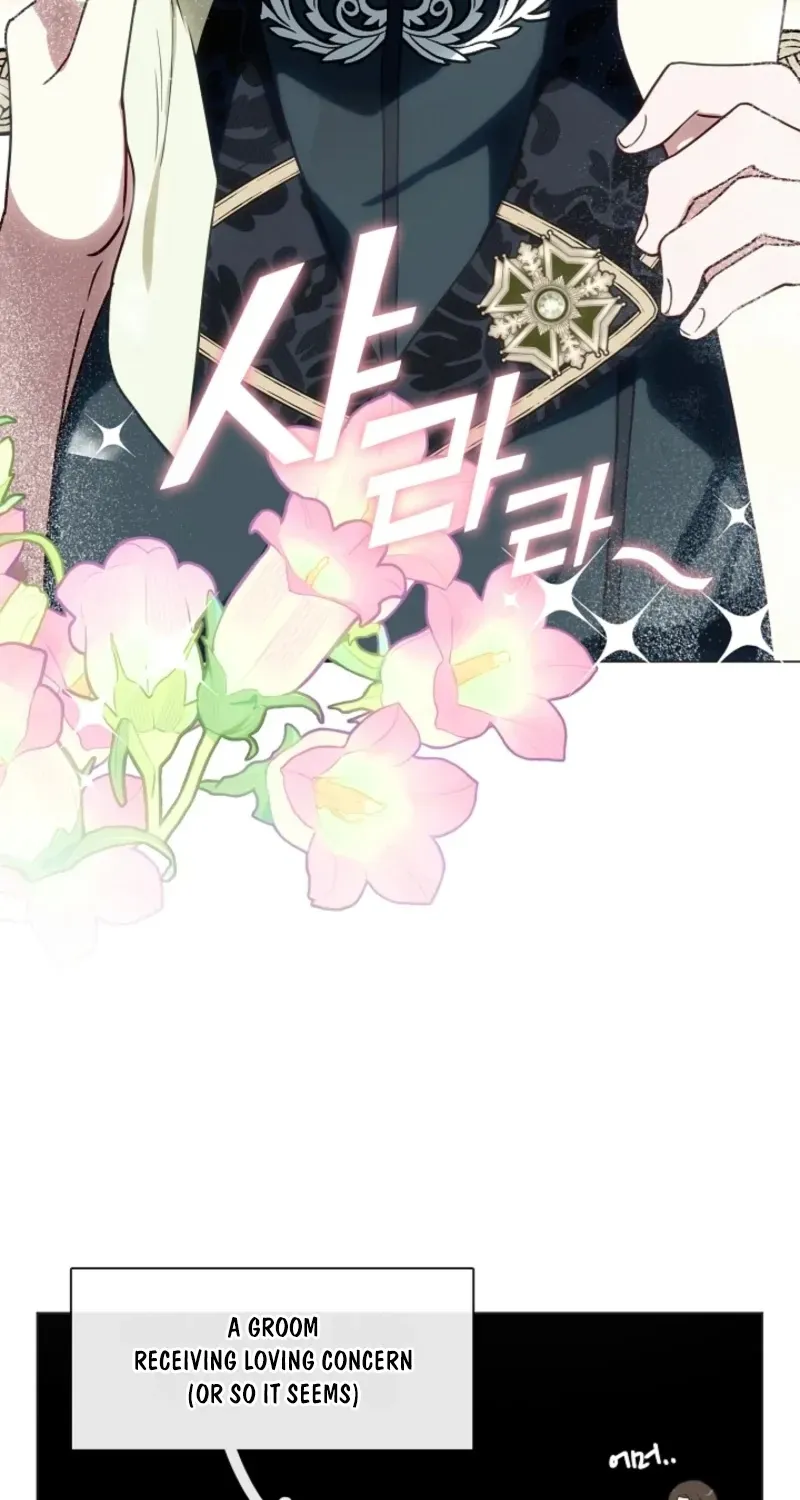 I Changed My Husband at the Wedding Chapter 14 page 29 - 
