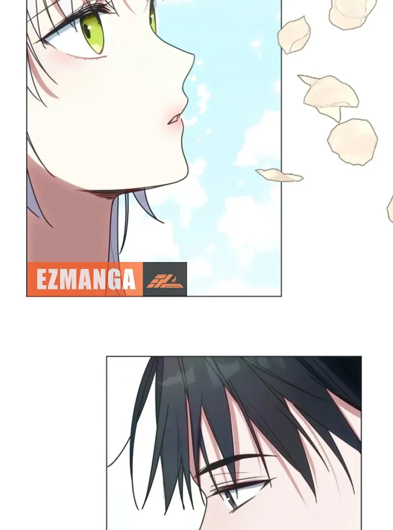I Changed My Husband at the Wedding Chapter 27 page 62 - 