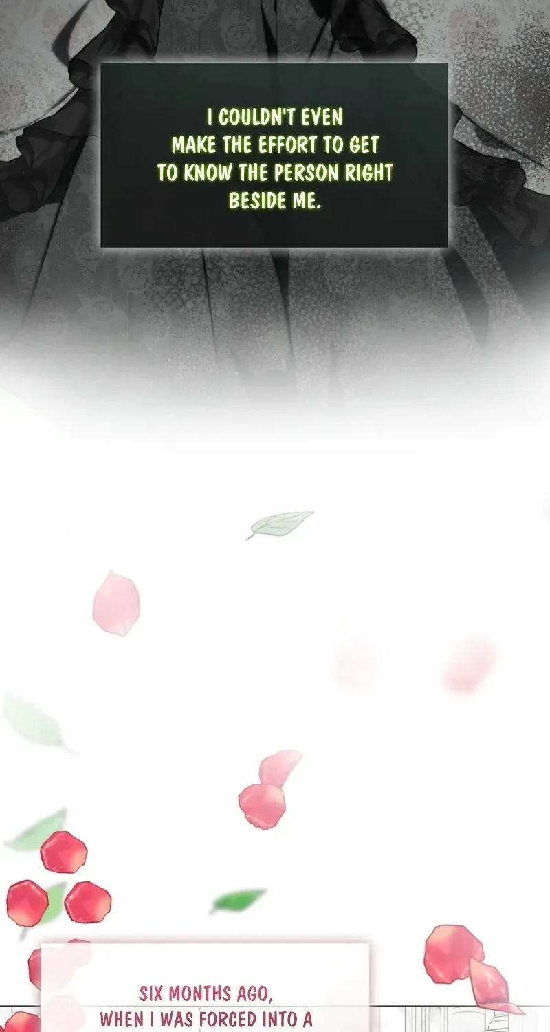 I Changed My Husband at the Wedding Chapter 32 page 15 - 