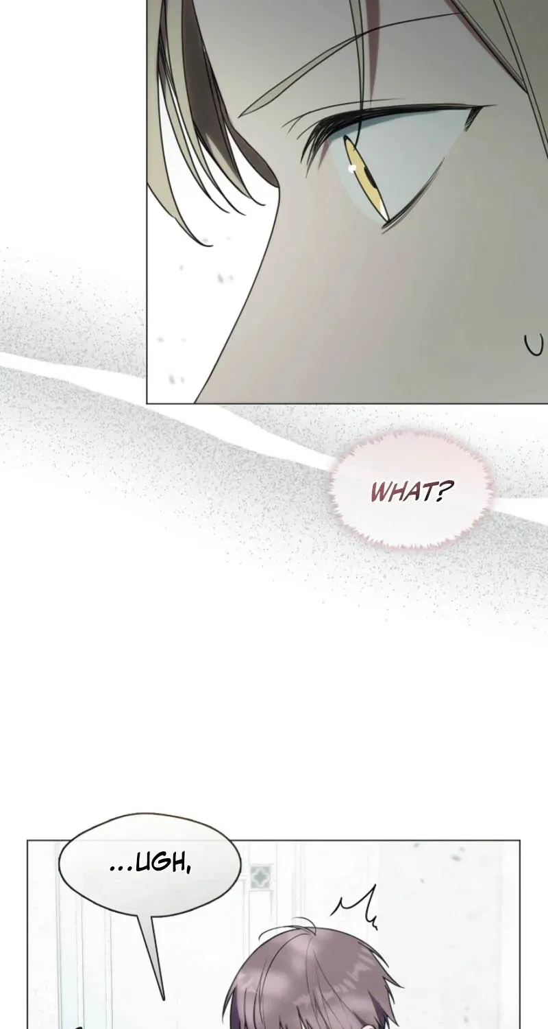 I Changed My Husband at the Wedding Chapter 33 page 3 - 