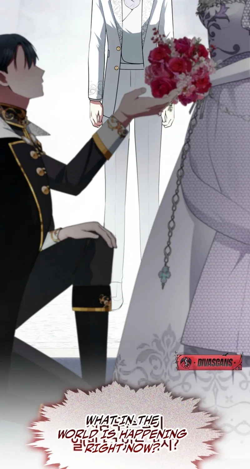 I Changed My Husband at the Wedding Chapter 6 page 27 - 
